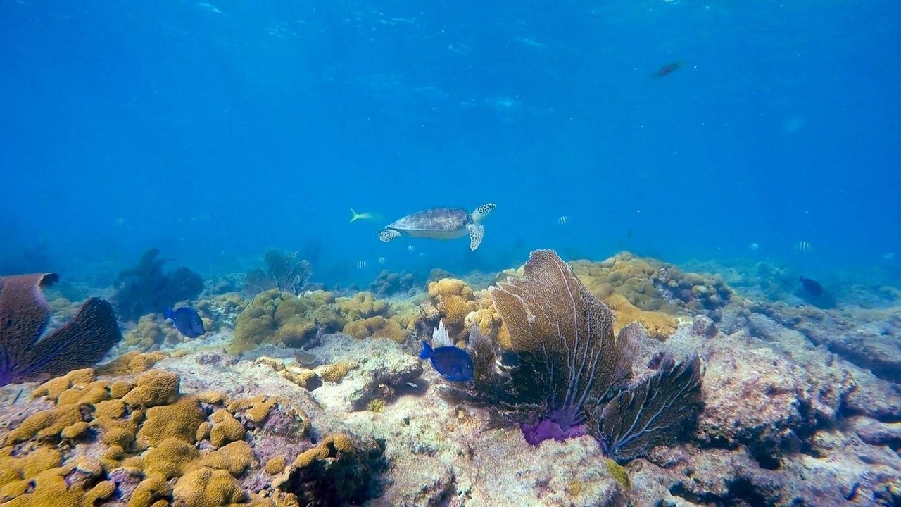 Photo of Outdoor in Summerland Key