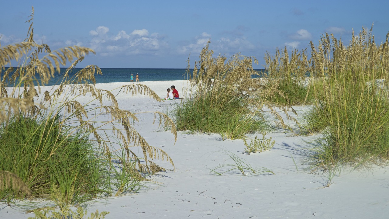 Photo of Others in Holmes Beach