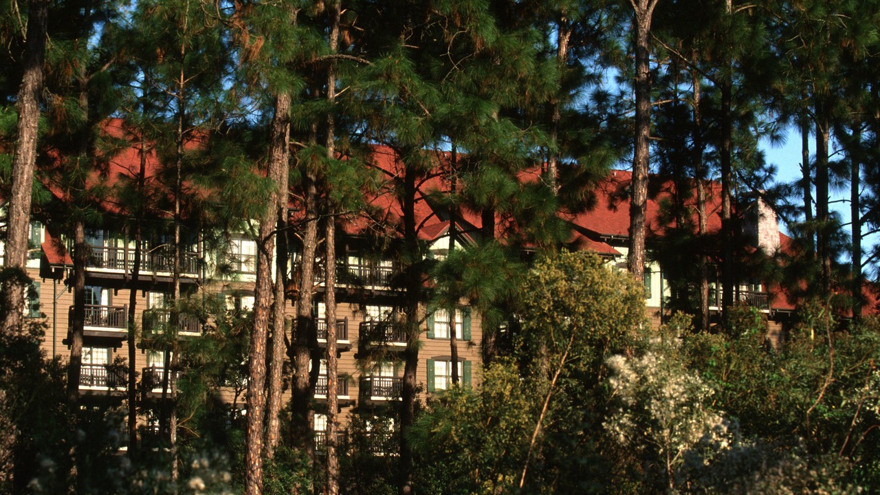 Photo of Outdoor in Bay Lake