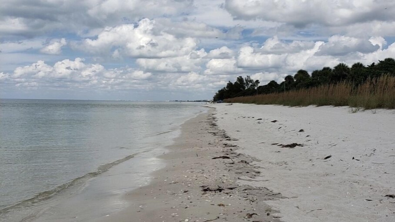 Photo of Others in Park Shore