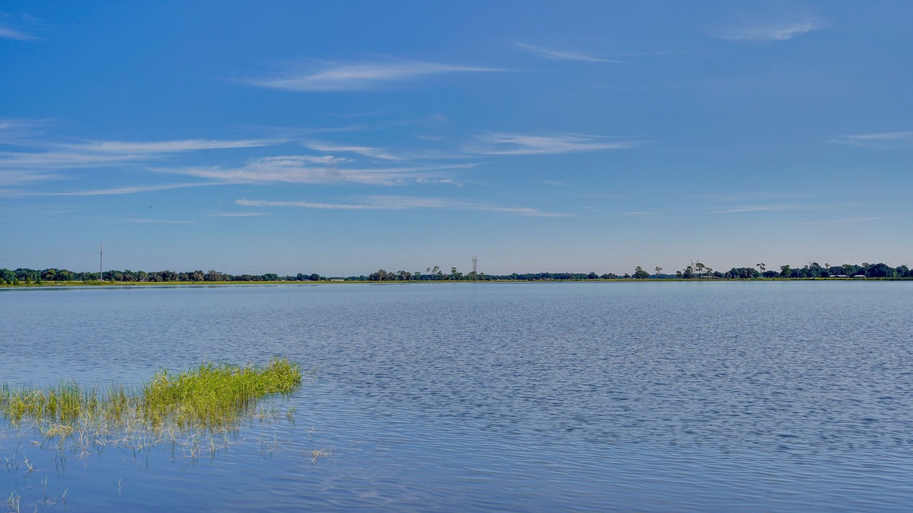 Photo of Others in Lake Wales