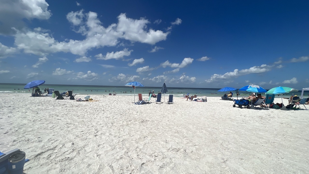 Photo of Others in Braden River