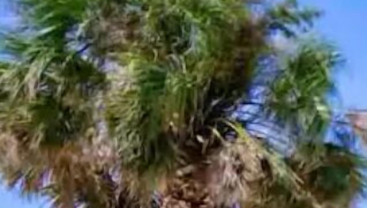 Photo of Others in Jacksonville