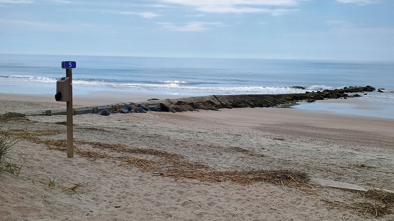 Photo of Others in Edisto Island