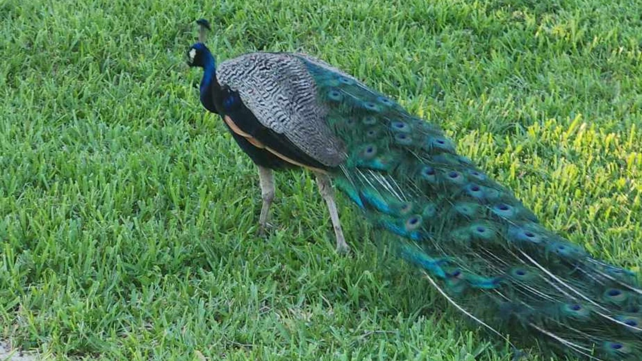 Photo of Others in Riverhaven Village