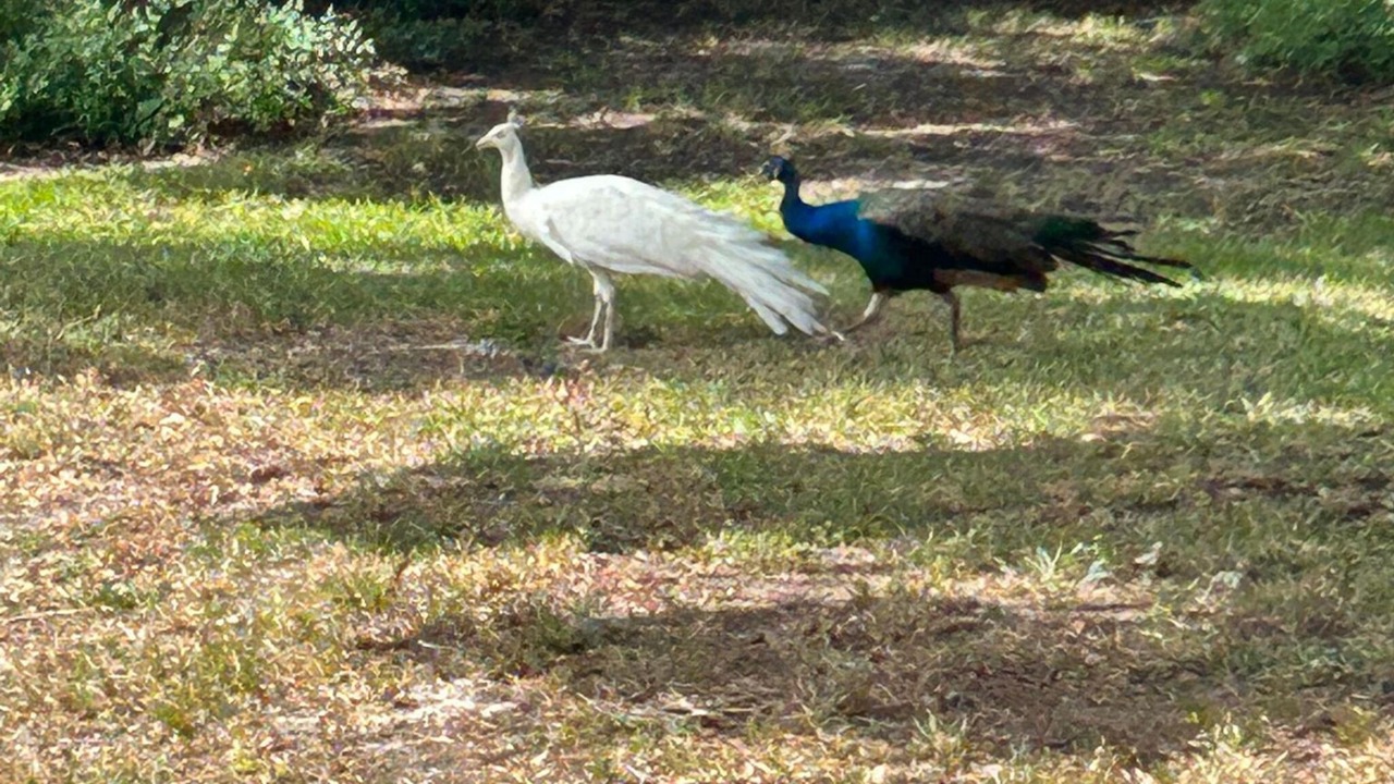 Photo of Outdoor in Riverhaven Village