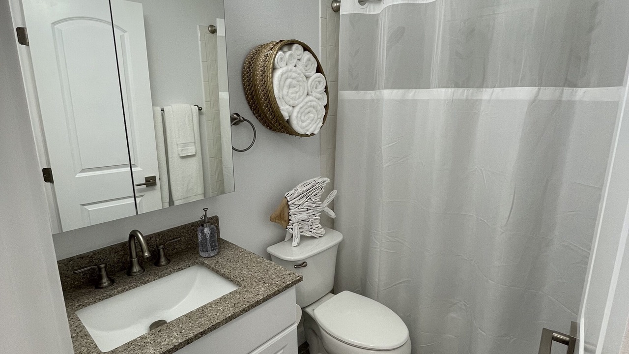 Photo of Bathroom in Safety Harbor