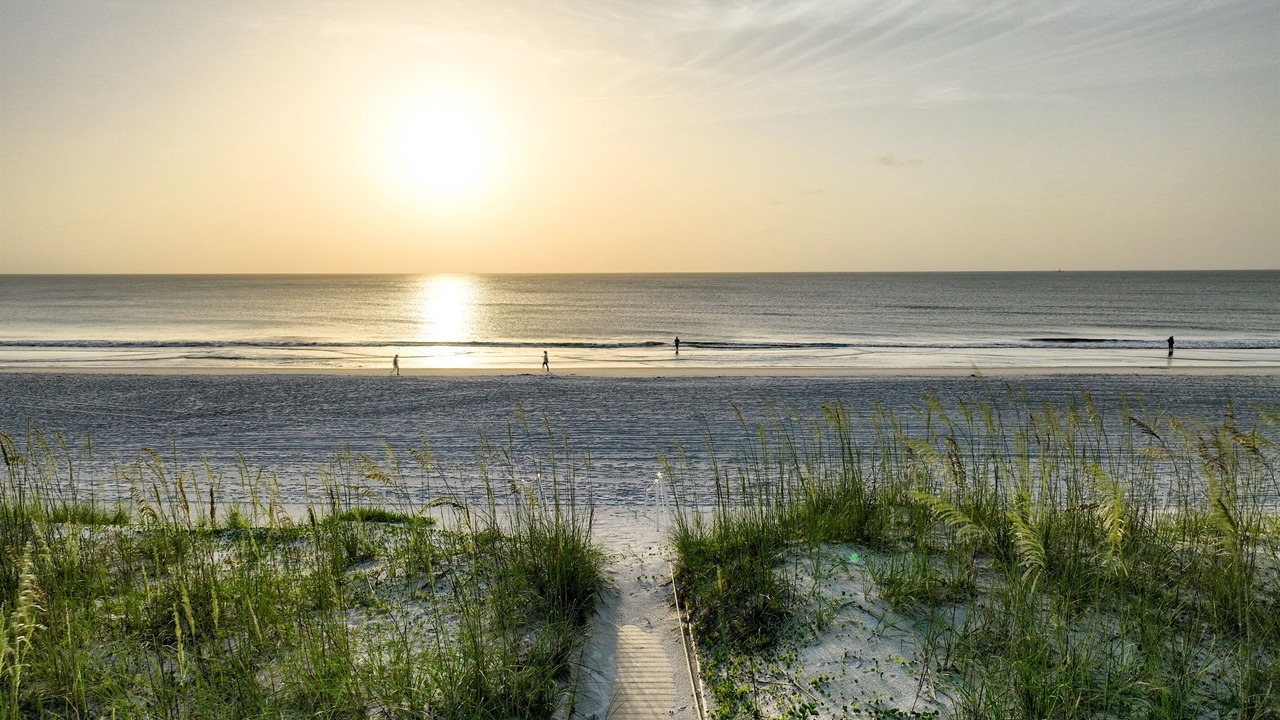 Photo of Others in Jacksonville Beach