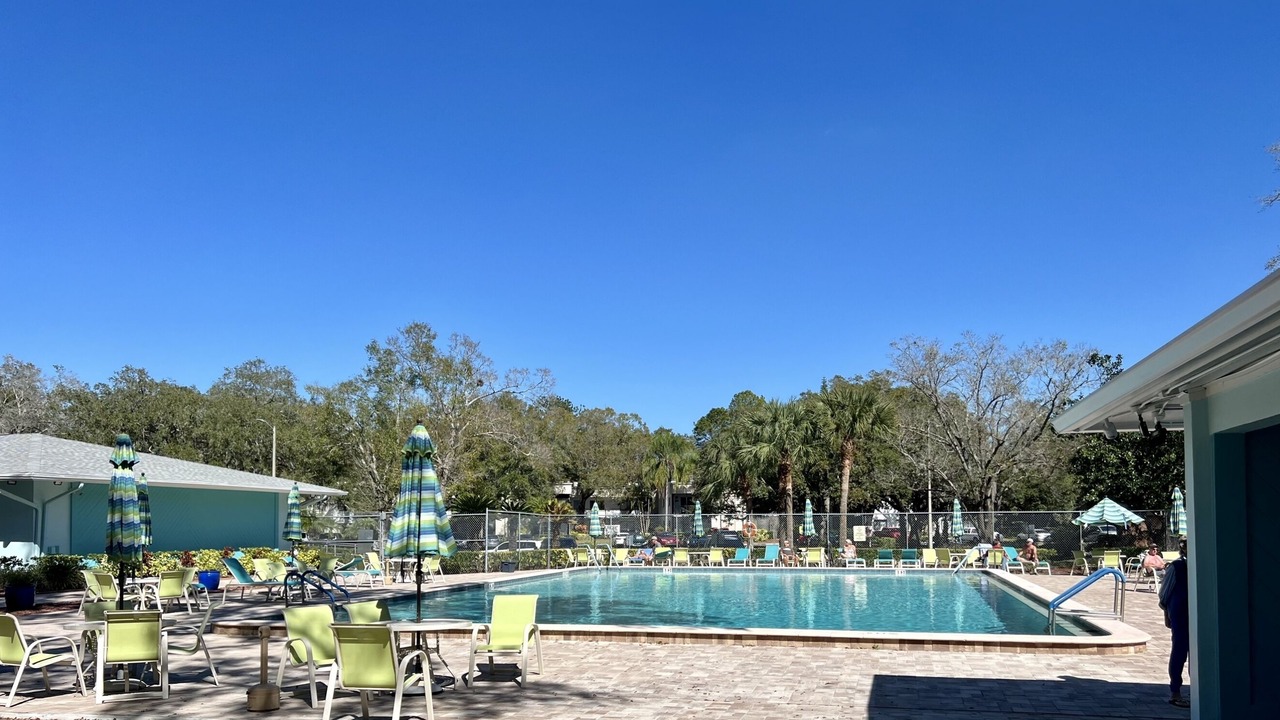 Photo of Outdoor in Palm Harbor