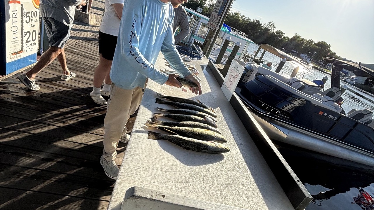 Photo of Outdoor in Homosassa