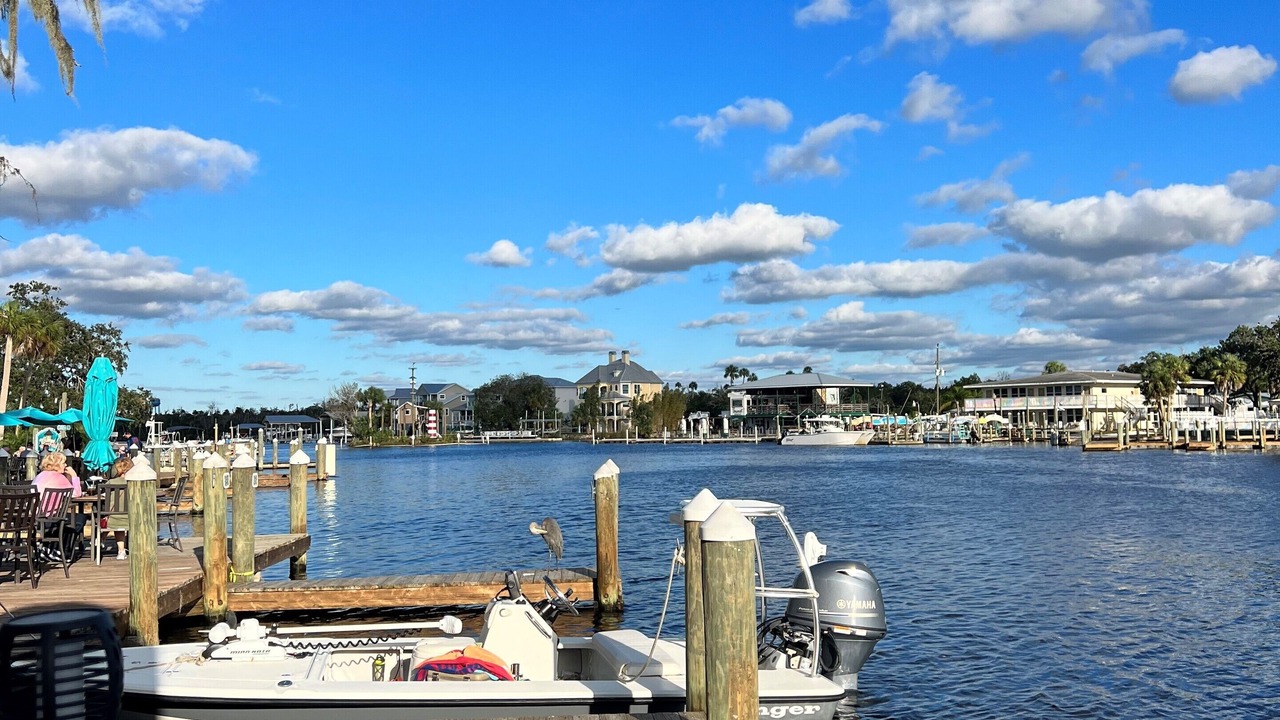 Photo of Others in Homosassa