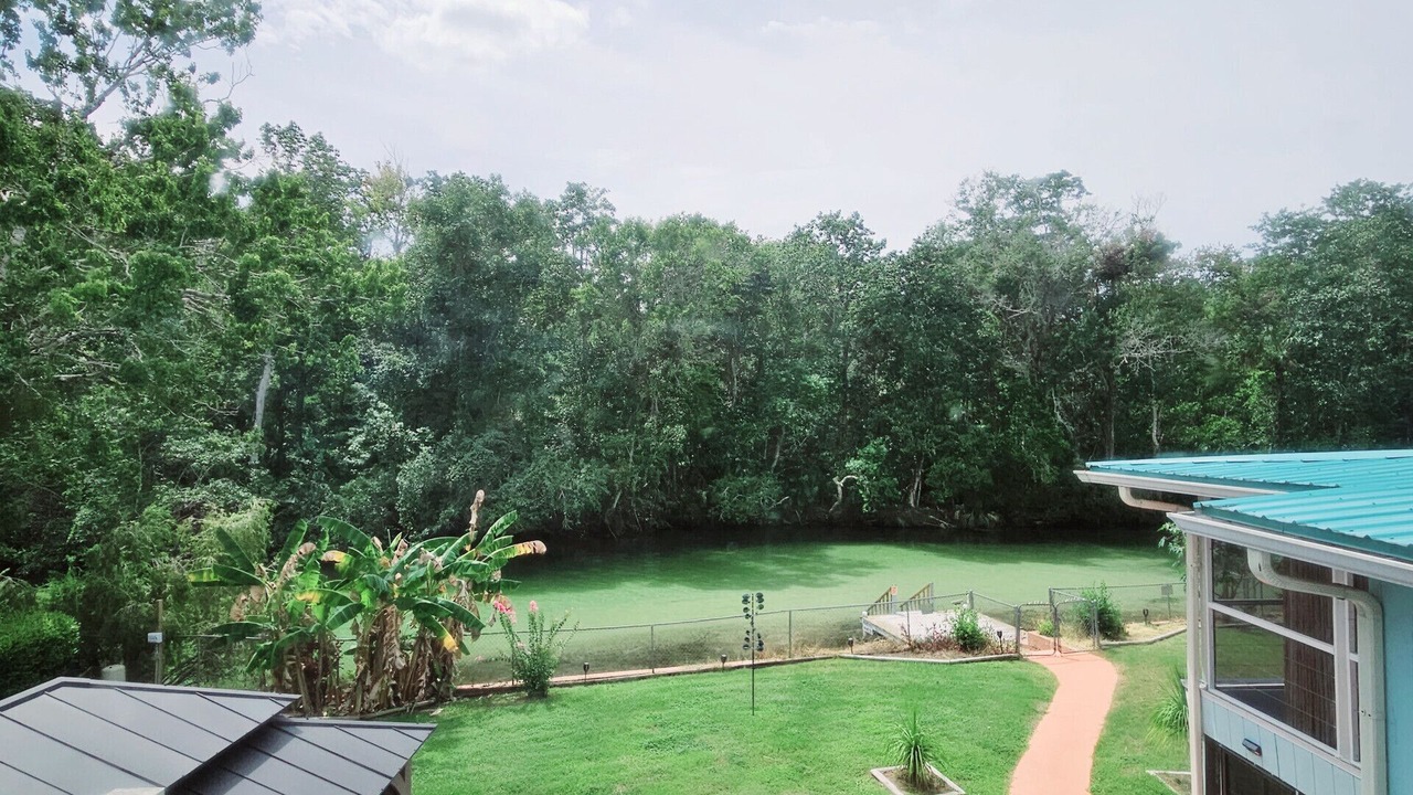 Photo of Others in Weeki Wachee Gardens