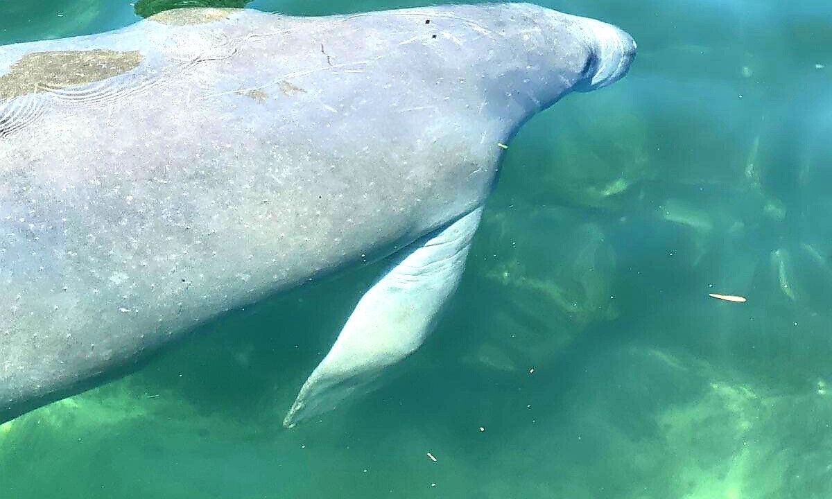 Photo of Others in Weeki Wachee Gardens