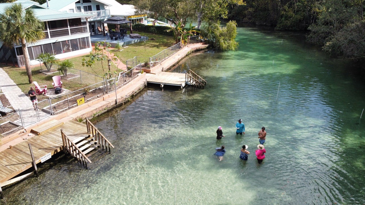 Photo of Others in Weeki Wachee Gardens