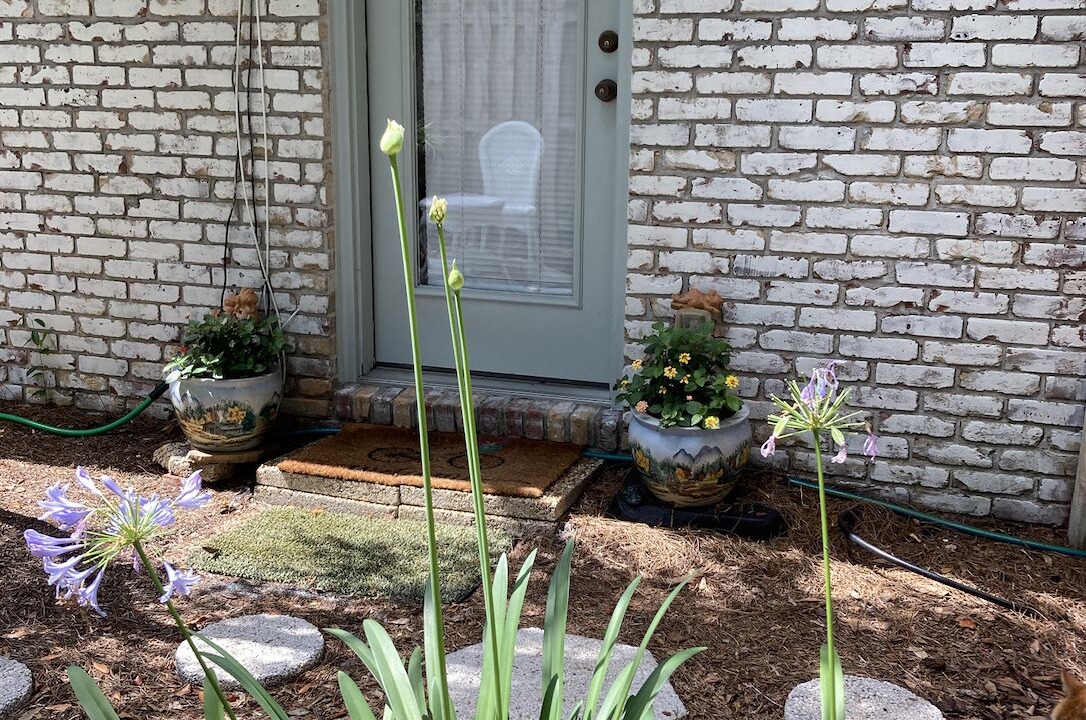 Photo of Outdoor in Atlantic Beach