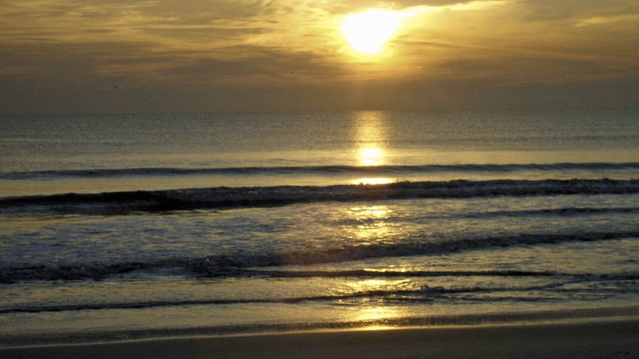 Photo of Others in Atlantic Beach