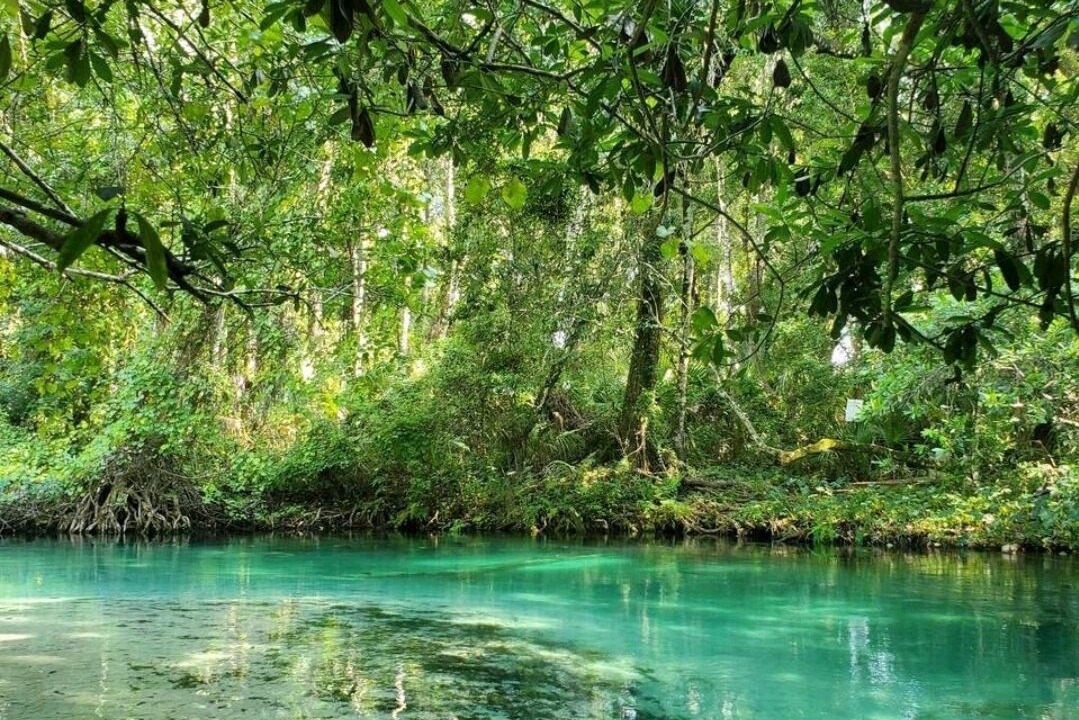 Photo of Others in Weeki Wachee Gardens