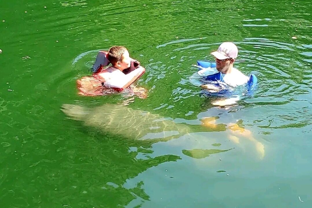 Photo of Outdoor in Weeki Wachee Gardens