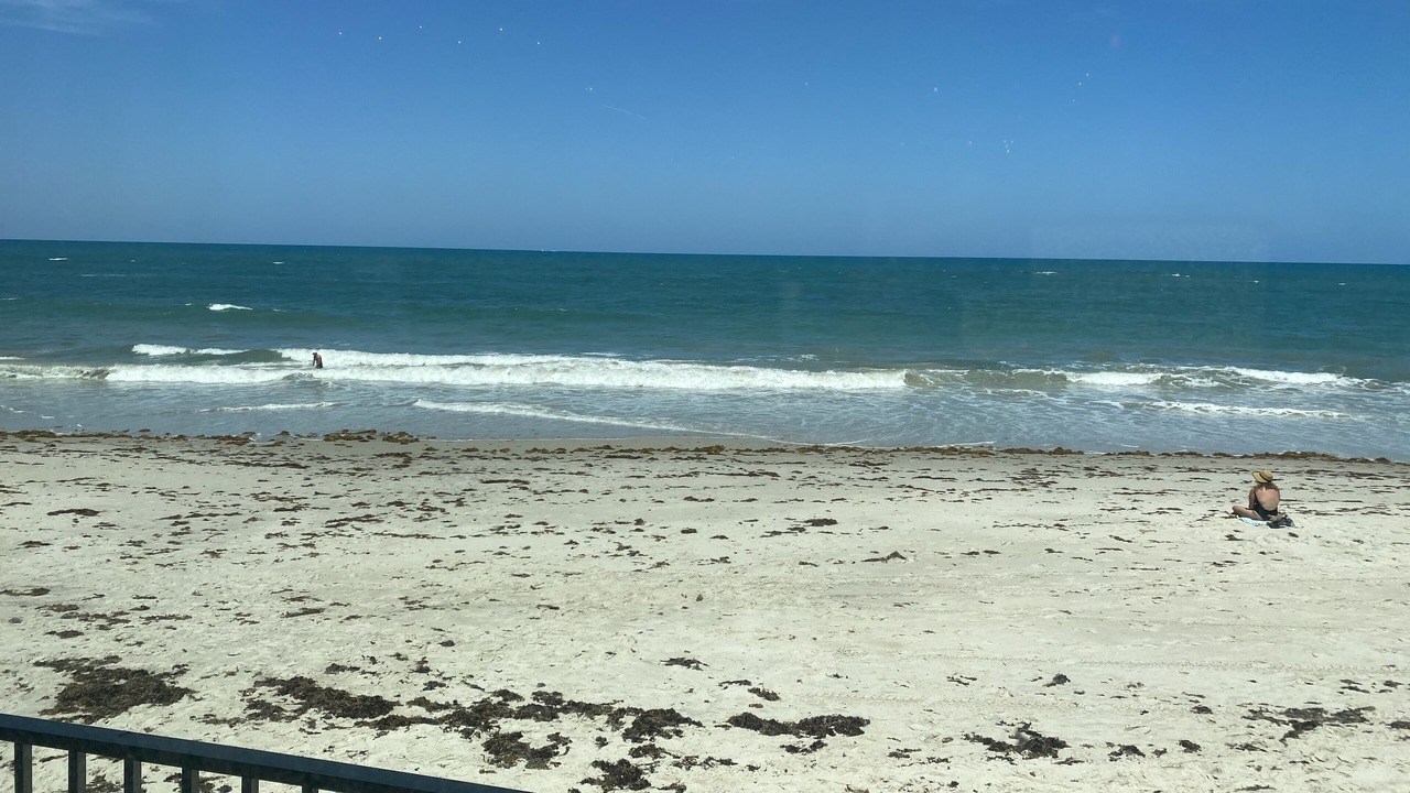 Photo of Others in Central Beach