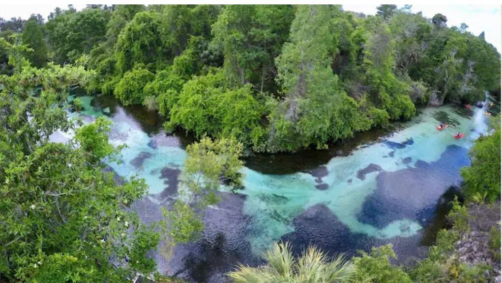 Photo of Outdoor in Weeki Wachee Gardens