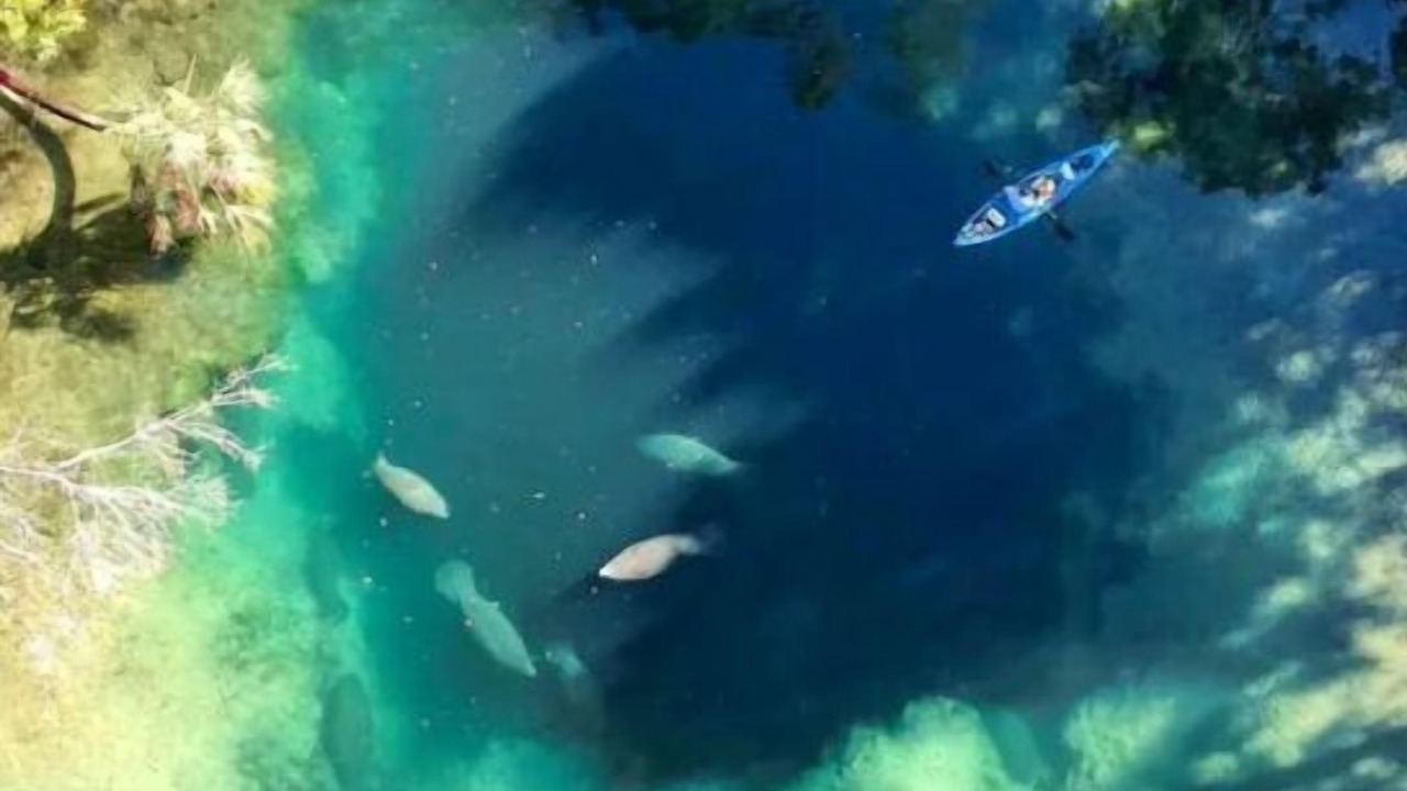 Photo of Outdoor in Weeki Wachee Gardens