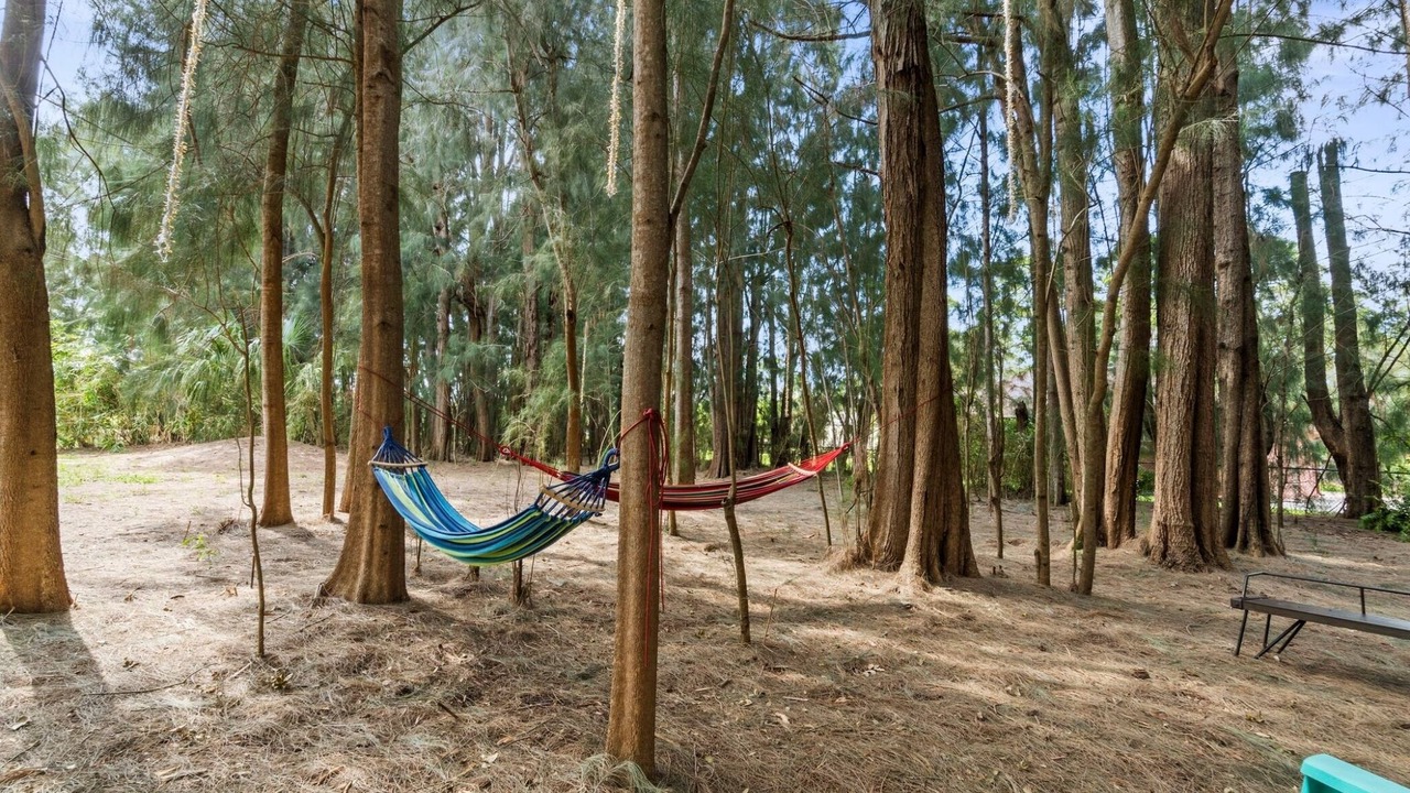 Photo of Outdoor in Seminole