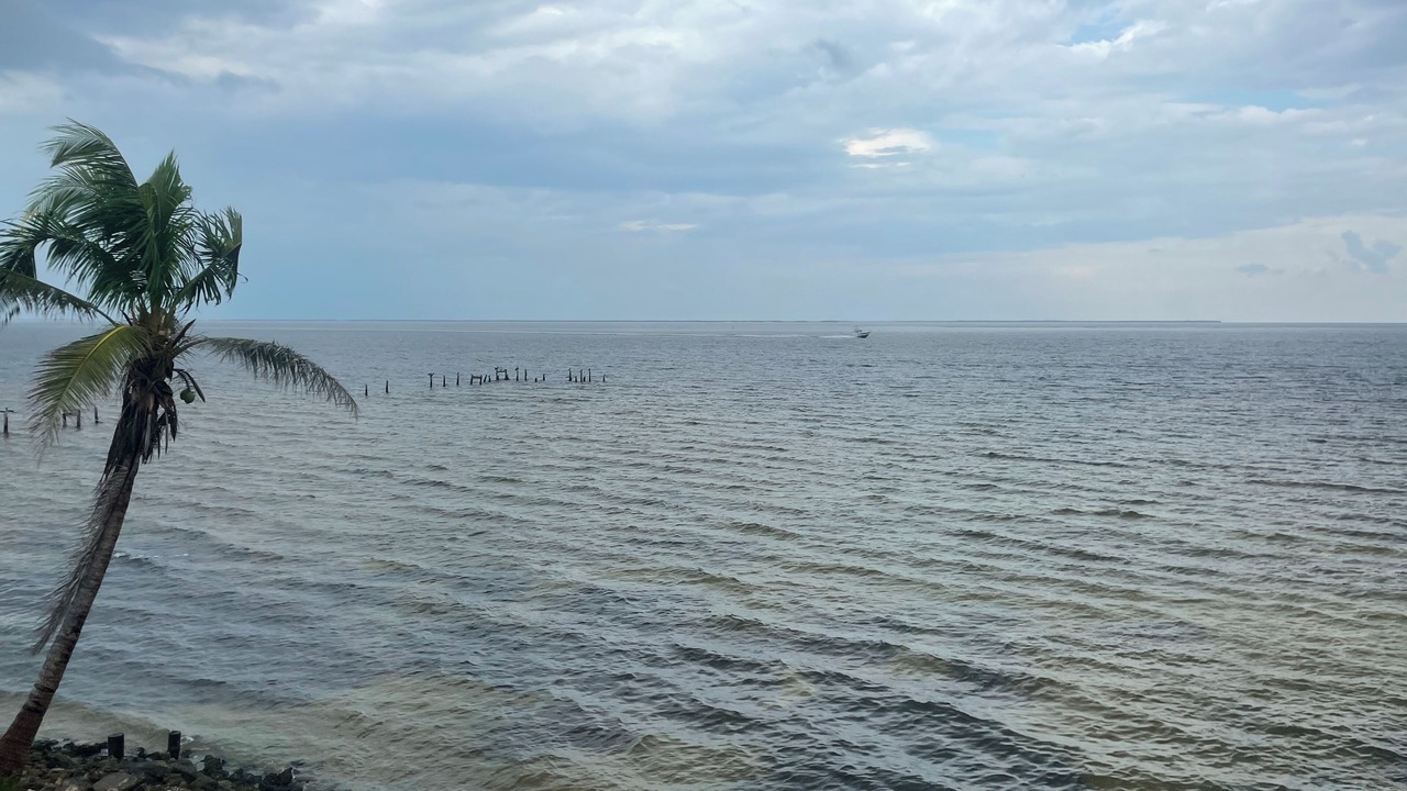 Photo of Others in Bokeelia