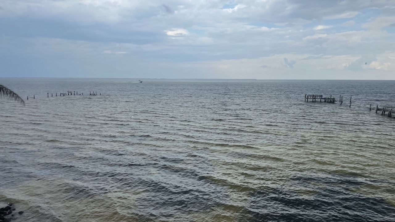 Photo of Others in Bokeelia