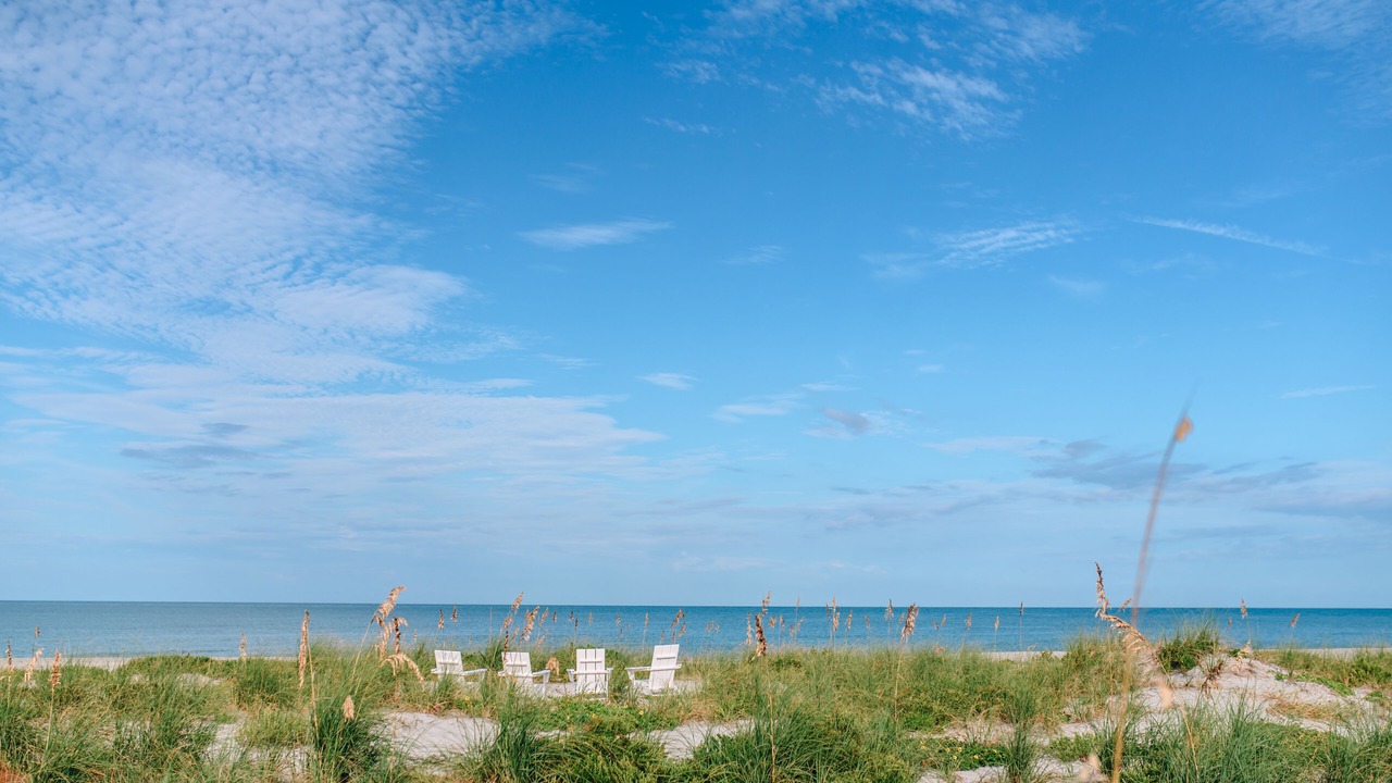 Photo of Others in Captiva
