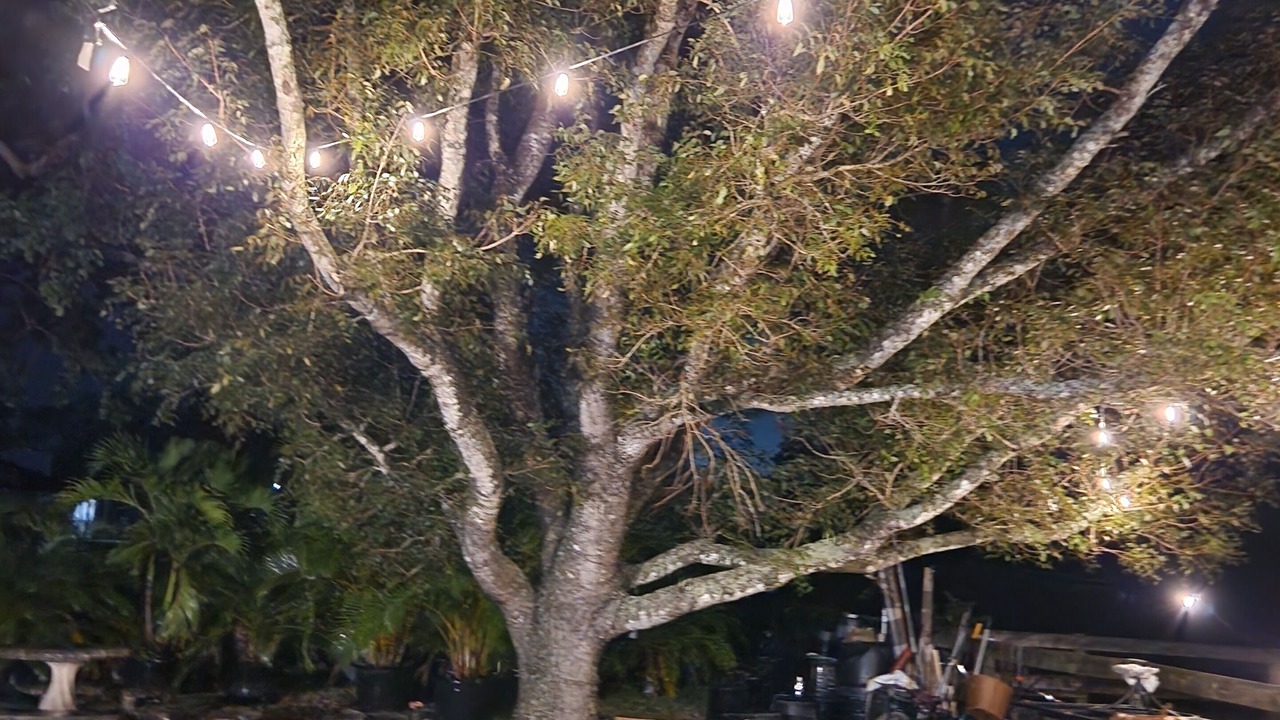 Photo of Outdoor in Southwest Ranches