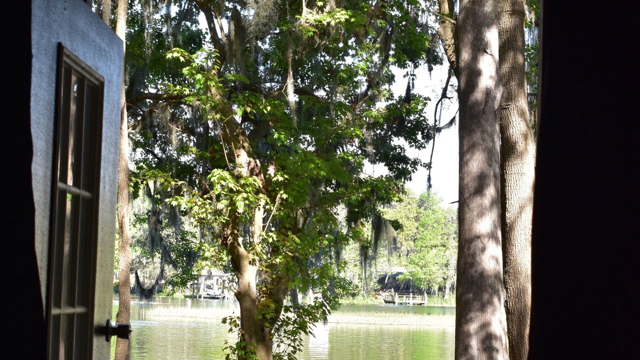Photo of Outdoor in Dunnellon