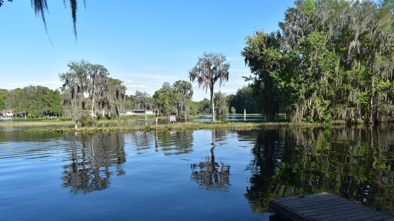 Photo of Outdoor in Dunnellon