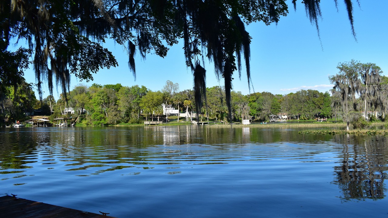 Photo of Outdoor in Dunnellon