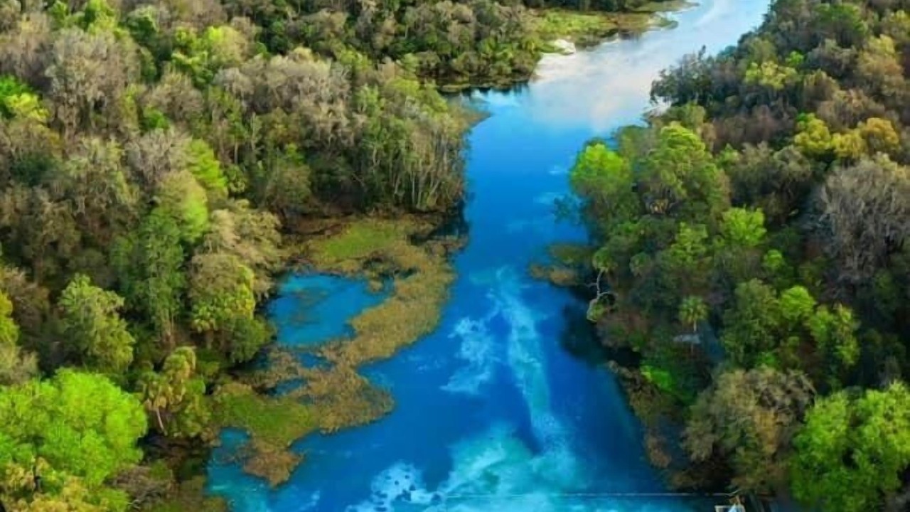Photo of Outdoor in Dunnellon