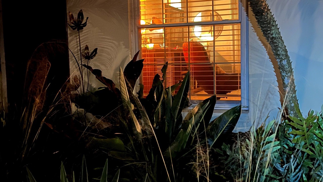 Photo of Outdoor in Eustis