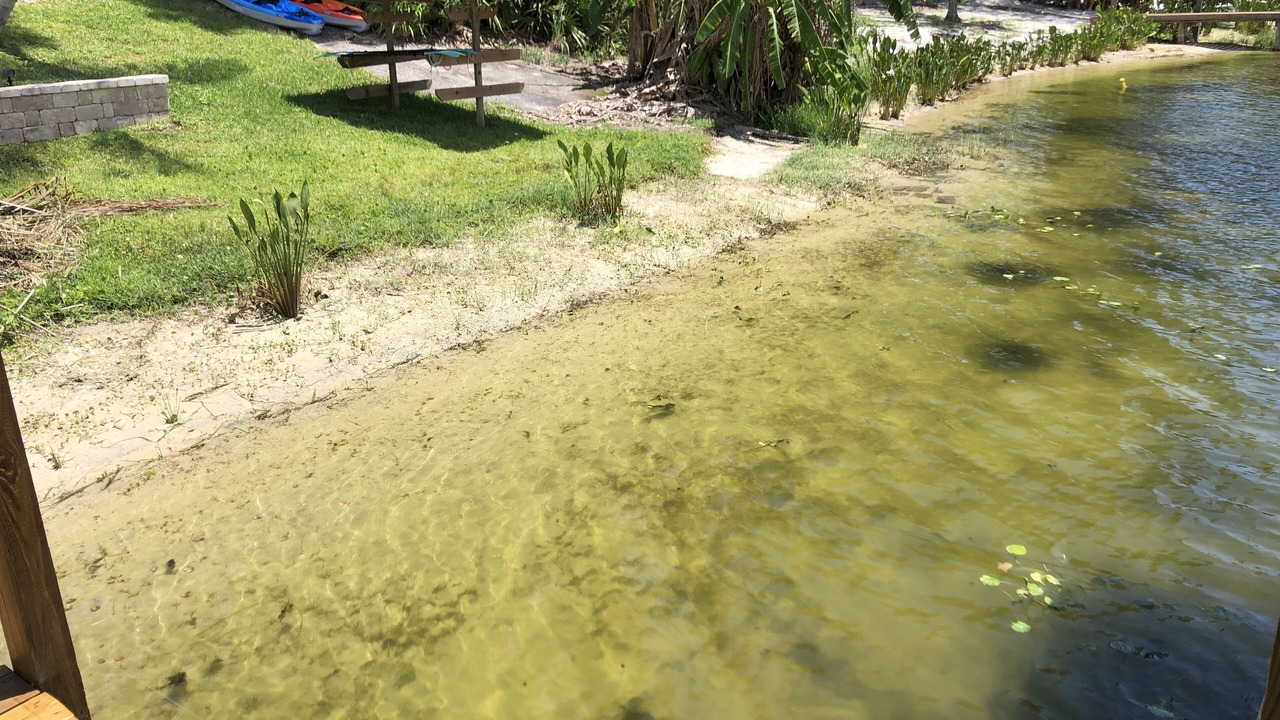 Photo of Outdoor in Montverde
