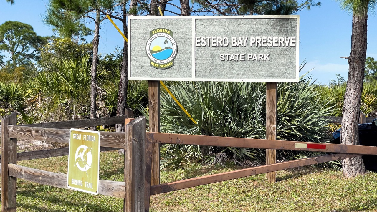 Photo of Others in Estero