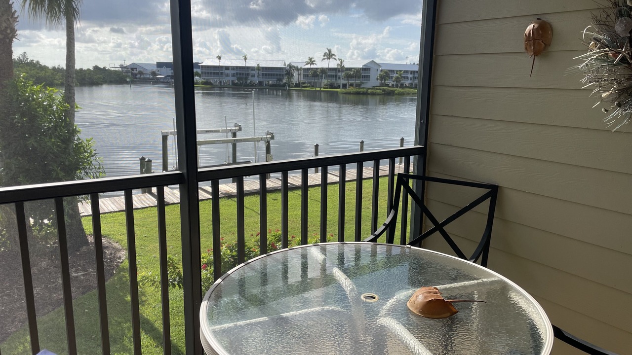 Photo of Outdoor in Bokeelia