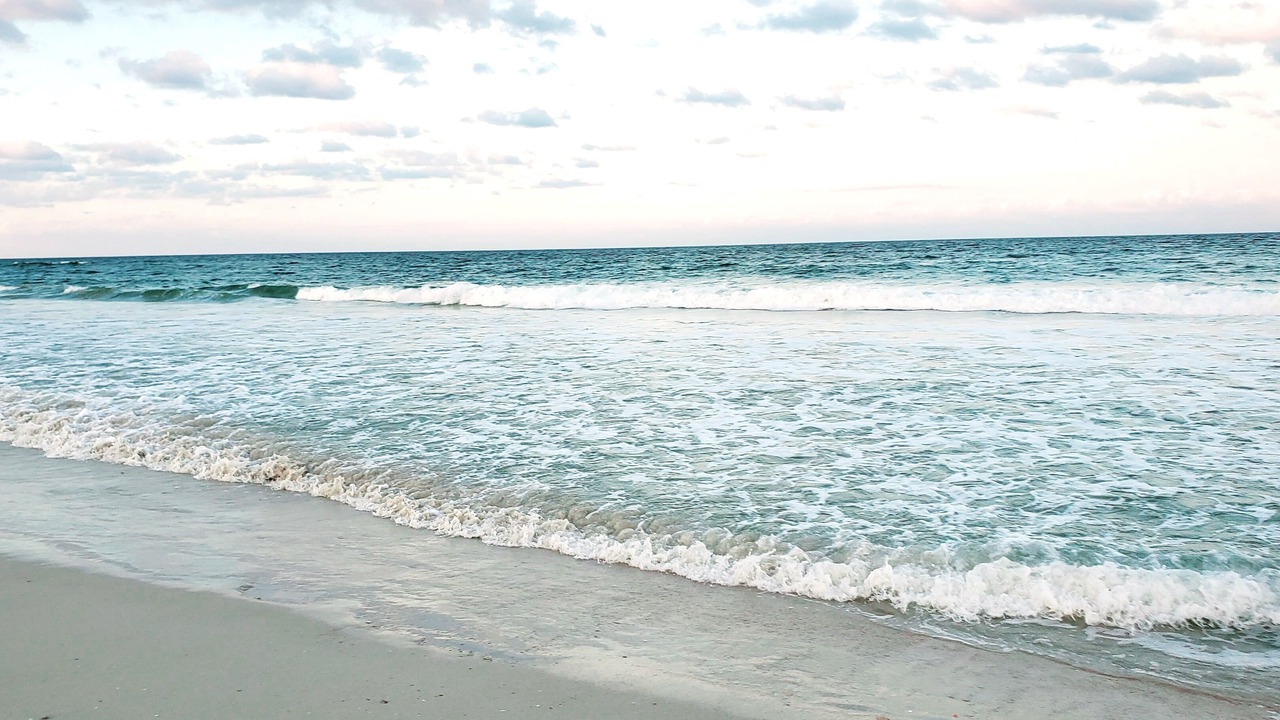 Photo of Others in Ponte Vedra Beach