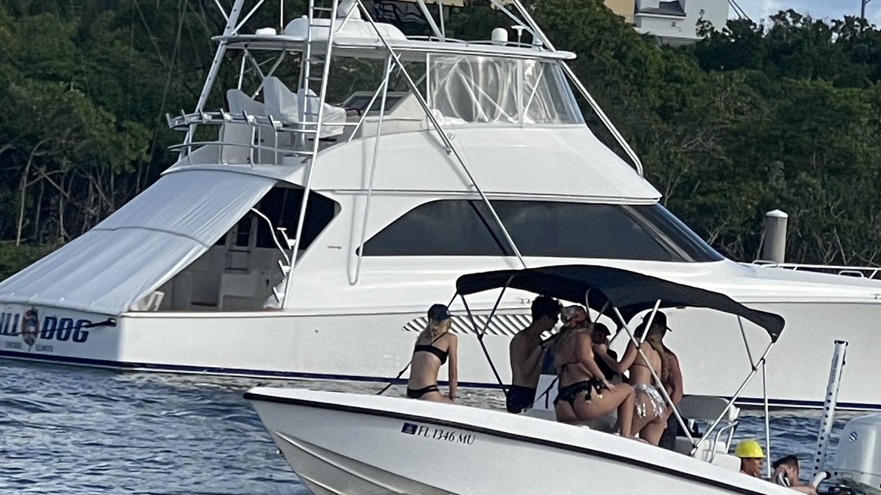 Photo of Others in Jupiter Bay