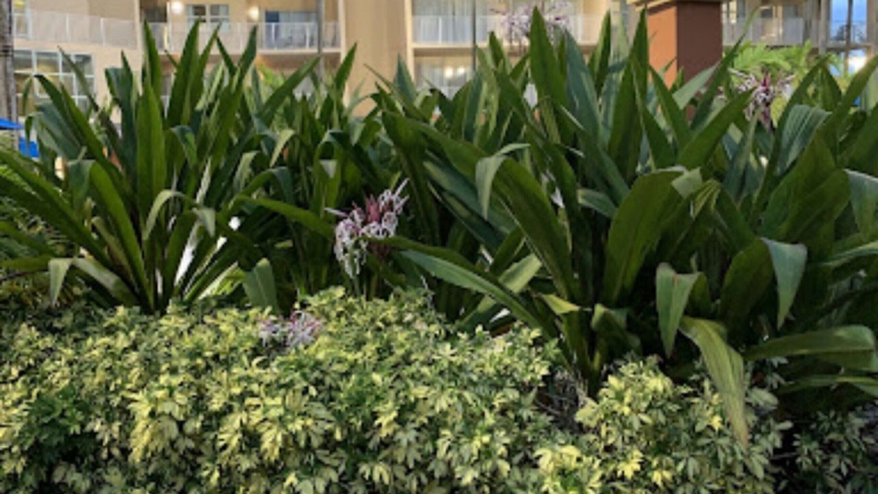 Photo of Outdoor in Survey Creek