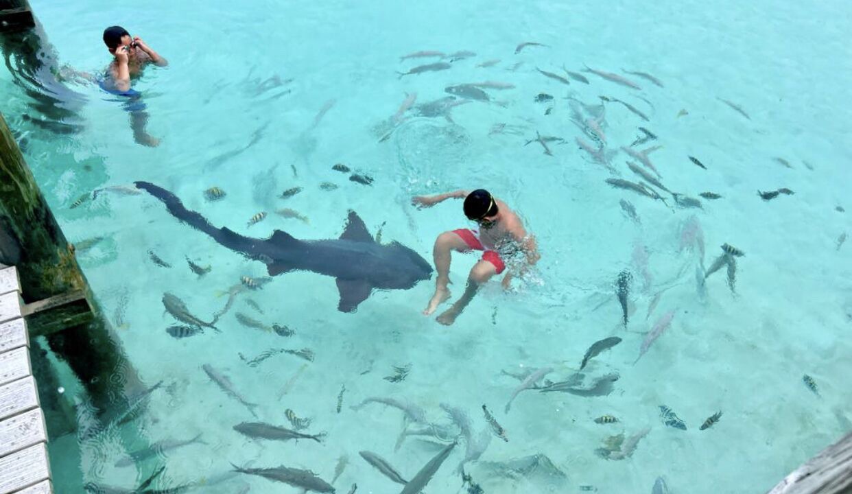 Photo of Others in Grand Harbor