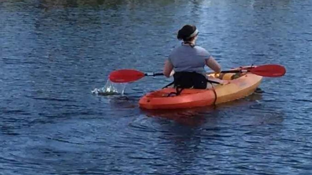 Photo of Others in Edgewater