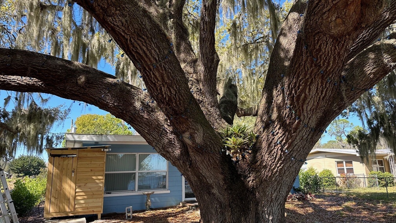 Photo of Outdoor in Florida South Atlantic Coast