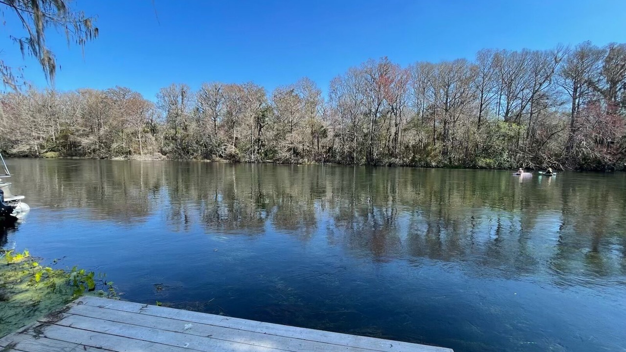 Photo of Others in Dunnellon