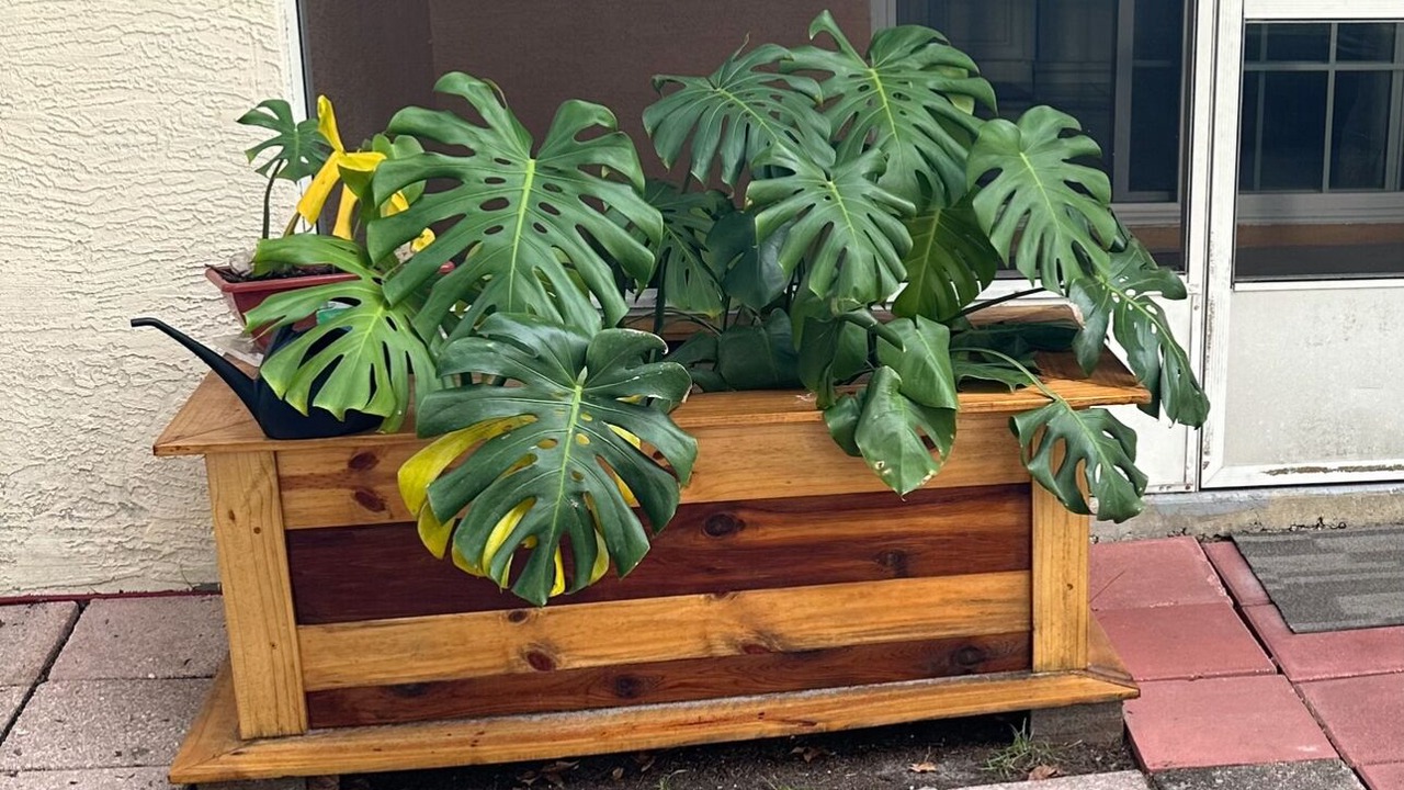 Photo of Outdoor in Palm Coast