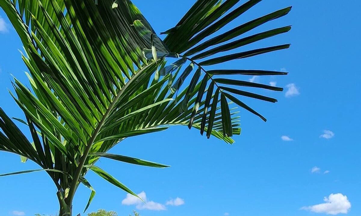 Photo of Outdoor in Everglades City