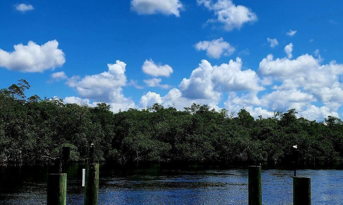 Photo of Others in Everglades City