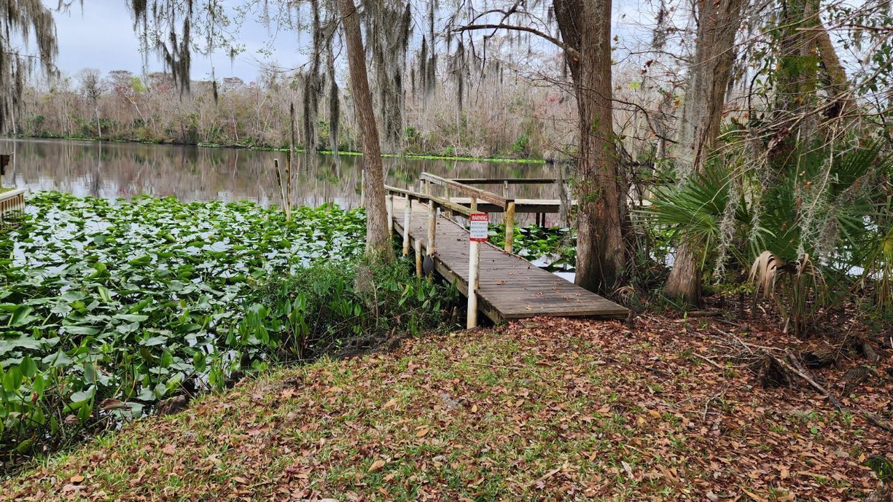 Photo of Outdoor in Satsuma