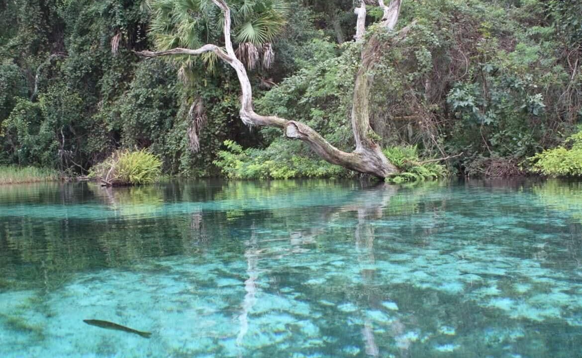Photo of Outdoor in Ocala